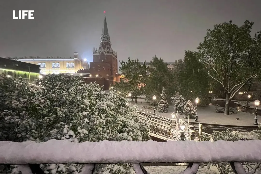 Замёл Красную площадь и окутал хлопьями цветы: Life.ru публикует фото накрывшего Москву майского снегопада